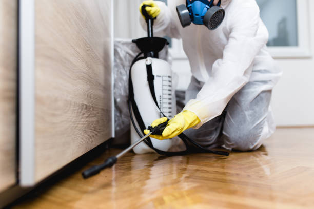 Best Insect Control  in Three Rivers, OR