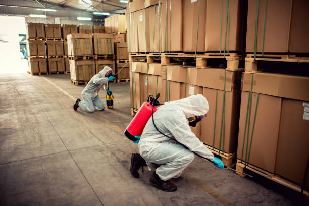 Best Pest Prevention Services  in Three Rivers, OR