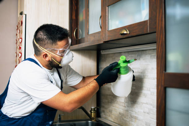 Best Rat Extermination Near Me  in Three Rivers, OR