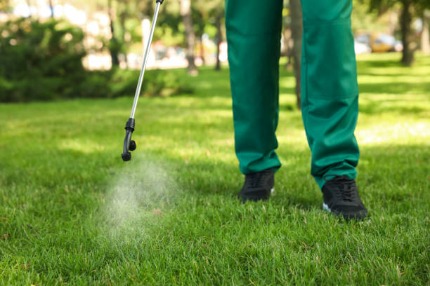Best Mosquito Control Services  in Three Rivers, OR