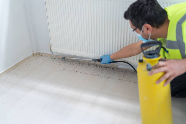 Best Local Pest Control Services  in Three Rivers, OR